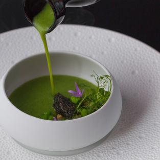 A Bowl Of Green Plants With A Green Stem