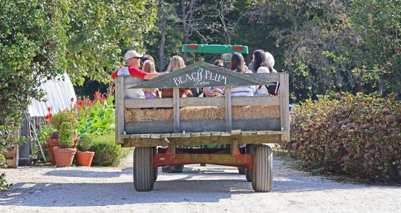 A Group Of People Ride In A Cart