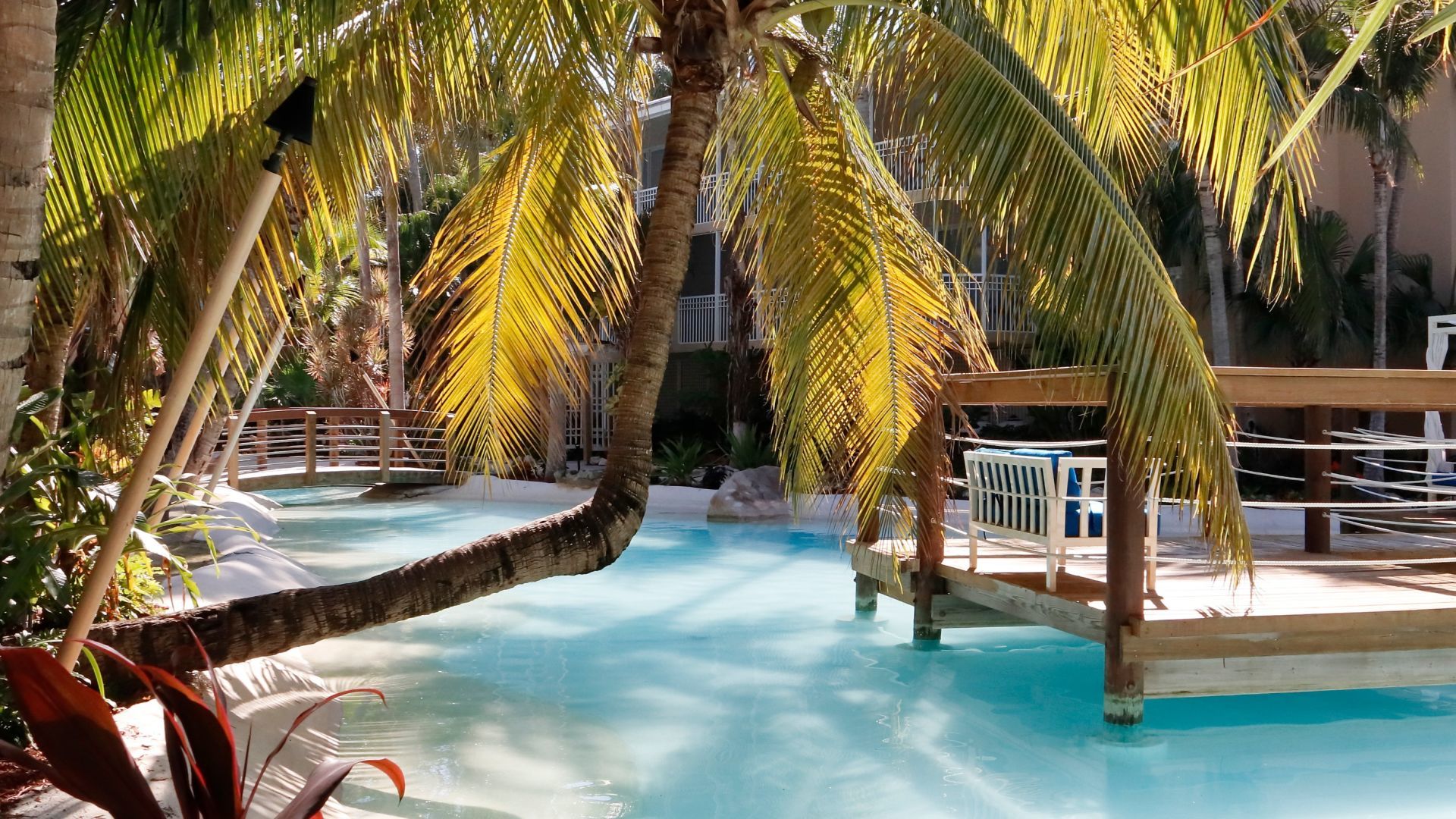 A Pool With Palm Trees Around It