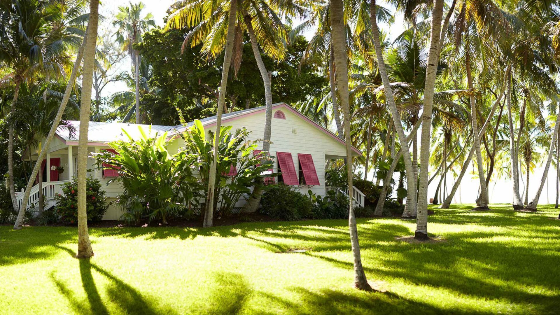 A House With Palm Trees