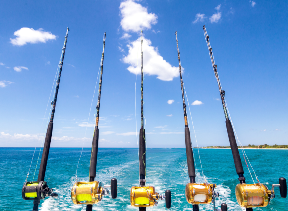 Fishing Charters & Tournaments