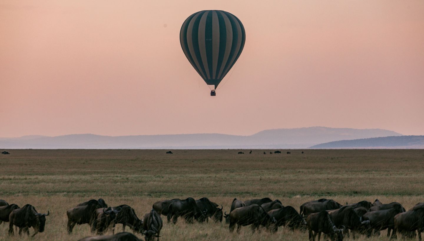 A Group Of Animals With A Hot Air Balloon In The Background