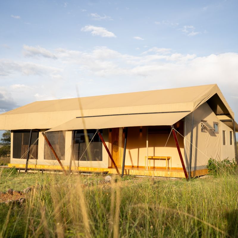 A House In A Grassy Field