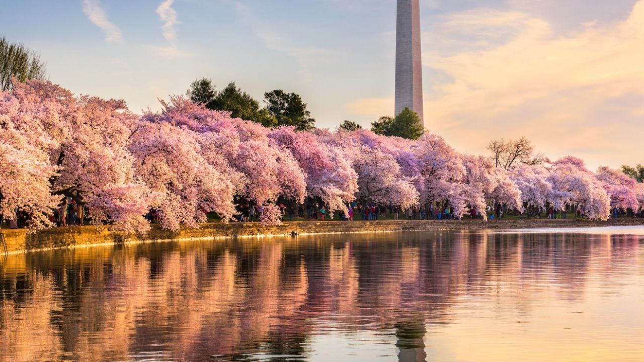 A Body Of Water With Trees Around It And A Tall Tower In The Background