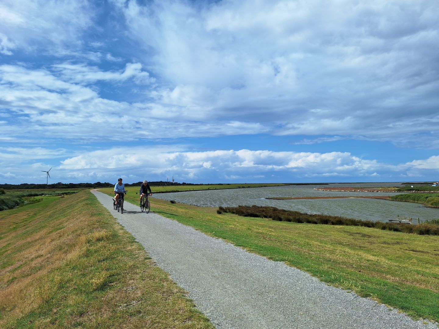 A Group Of People Riding Bikes On A Path In A Field image