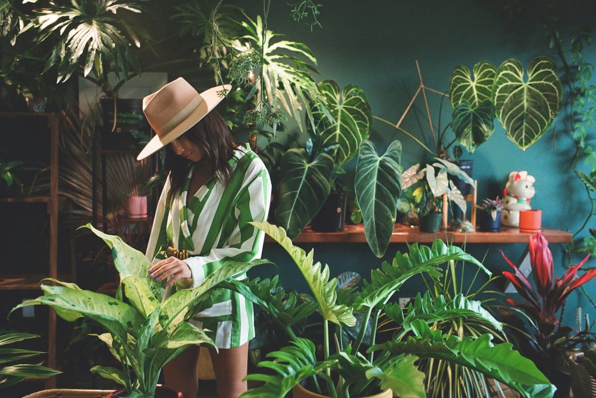 A Person In A Hat Standing Next To A Plant