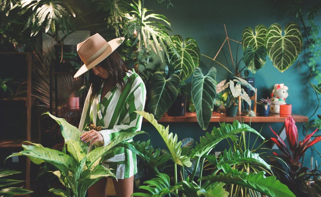 A Person In A Hat Standing Next To A Plant