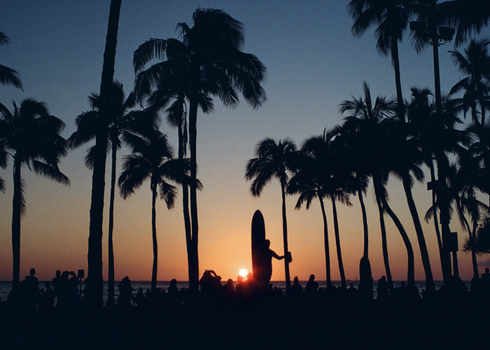A Sunset Behind Palm Trees