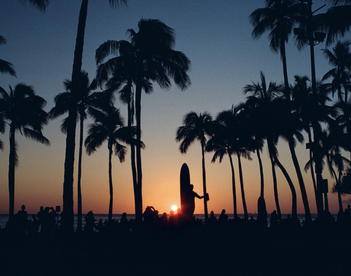 A Sunset Behind Palm Trees
