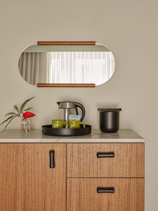 A Kitchen Counter With A Pot And A Plant On It