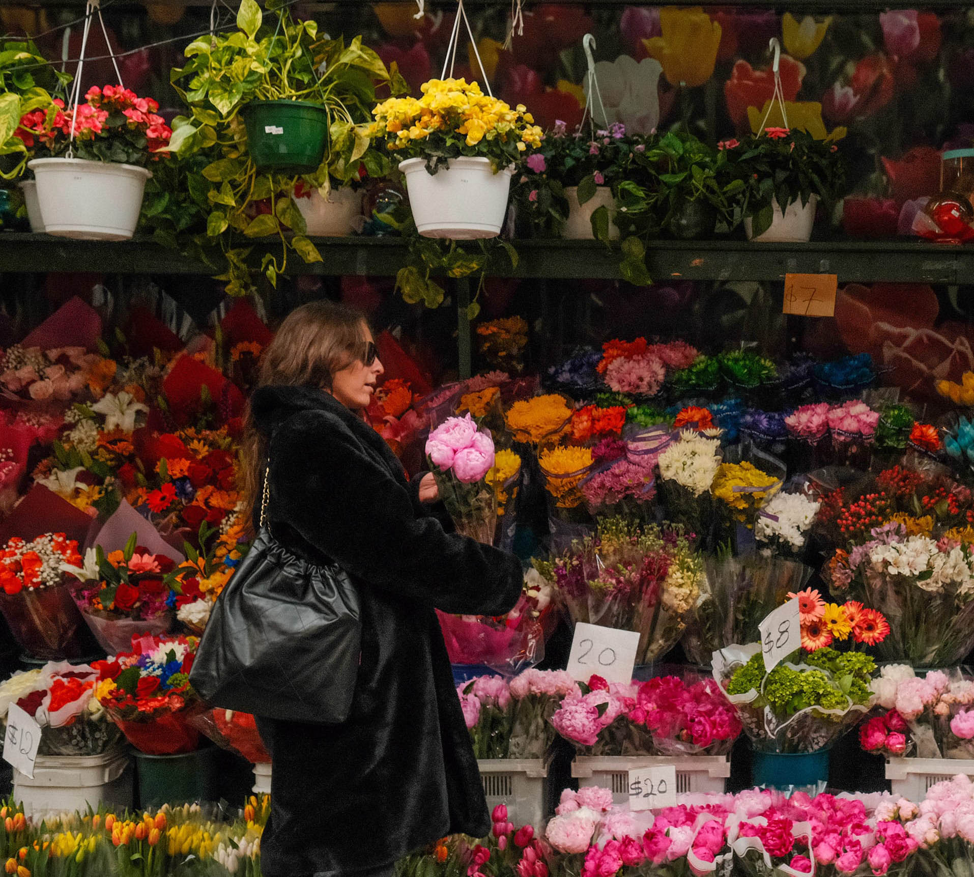 A Person Looking At Flowers